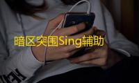 暗区突围Sing辅助