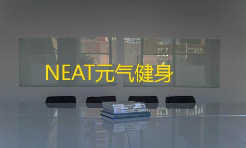 三角洲辅助科技网NEAT元气健身