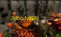 3dbody解剖