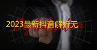 2023最新抖音解析无水印视频下载html源码